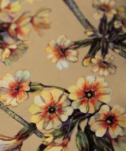 Alternative view of Kit Humito Purificación